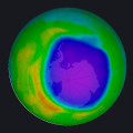 The Dangerous Effects of Ozone Inhalation