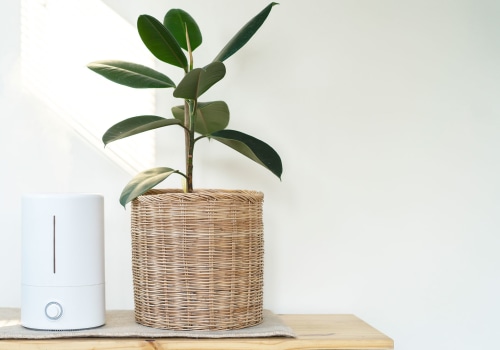 Air Purifiers vs Ionizers: Which is Better for Your Home?